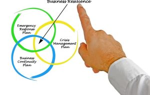   Business Continuity and Resilience